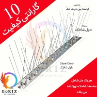 spike-bird-negindasht-goriz-ax